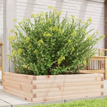 Gossi jardiniera de gradina, 80x80x23 cm, lemn masiv de pin