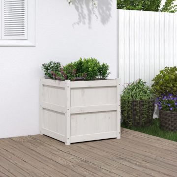 Gossi jardiniera de gradina, alb, 60x60x60 cm, lemn masiv de pin