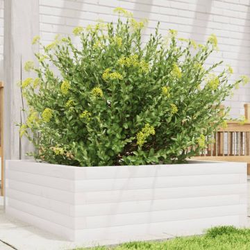 Gossi jardiniera de gradina, alb, 70x70x23 cm, lemn masiv de pin