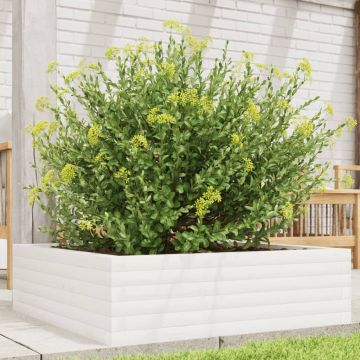 Gossi jardiniera de gradina, alb, 80x80x23 cm, lemn masiv de pin