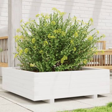 Gossi jardiniera de gradina, alb, 80x80x26,5 cm, lemn masiv de pin