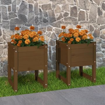 Gossi jardiniere, 2 buc., maro miere, 40x40x52,5cm, lemn masiv de pin