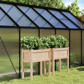 Gossi jardiniere de gradina cu picioare, 2 buc., lemn masiv de pin