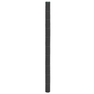 Gossi membrana antiburuieni, negru, 2x10 m, pp