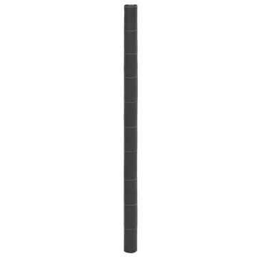 Gossi membrana antiburuieni, negru, 2x25 m, pp