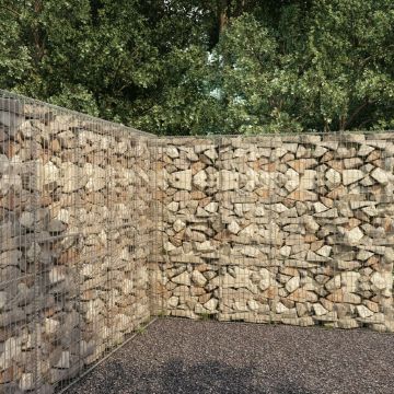 Gossi perete gabion cu capace, 300 x 50 x 200 cm, otel galvanizat