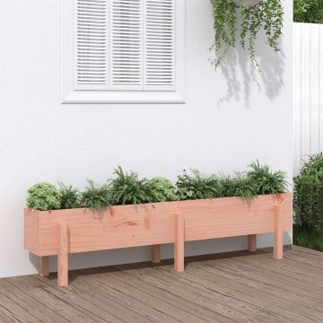 Gossi strat inaltat de gradina, 160x30x38 cm, lemn masiv douglas