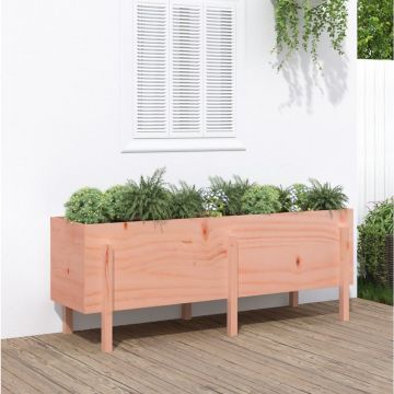 Gossi strat inaltat de gradina, 160x50x57 cm, lemn masiv douglas