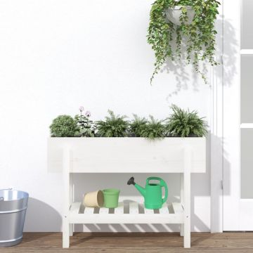 Gossi strat inaltat de gradina, alb, 101x30x69 cm, lemn masiv de pin