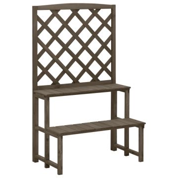 Gossi suport plante cu spalier, gri, 70x42x115 cm, lemn masiv de brad