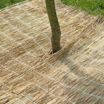 Nature foaie de protectie pentru iarna, paie de orez, 1x1,5 m 6030105