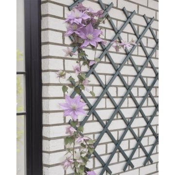 Nature spalier de gradina, antracit, 50x150 cm, pvc