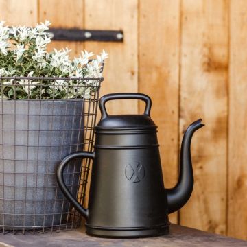 Capi stropitoare xala lungo, negru, 12 l