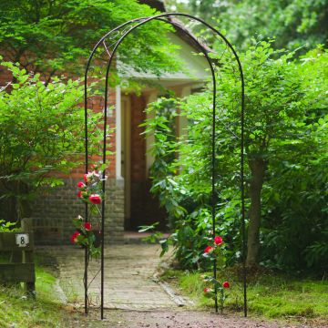 Nature arcada de gradina, negru, 100 x 37 x 230 cm, metal