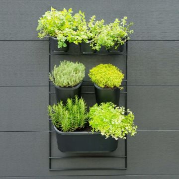 Nature set jardiniera verticala pentru perete