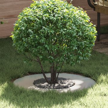 Gossi ghiveci galvanizat galvanizat metal mediu durabil