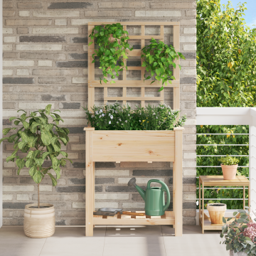 Gossi ghiveci de gradina cu trellis si raft 71x37x152 cm din lemn de pin