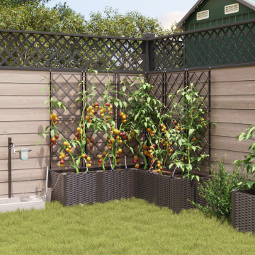 Gossi jardiniere cu sistem de irigatie 5 buc bone