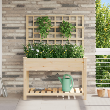 Gossi jardiniere cu trellis si raft 115x59x152 cm lemn solid de brad