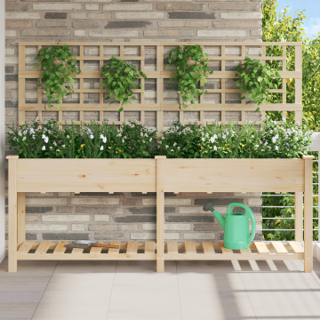 Gradina jardiniere Gossi cu trellis si raft 203x53x152 cm lemn masiv de brad