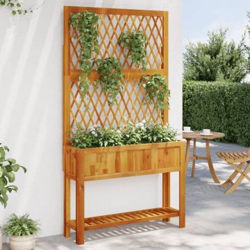 Gossi jardiniera cu spalier/polita, 100x32x185 cm, lemn masiv acacia