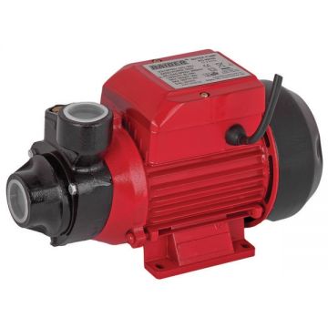 Raider  RD-PK60 - Pompa de suprafata pentru aplicatii mici si medii in agricultura 370 W - bar 35 m 35 l/min carcasa fonta monofazata