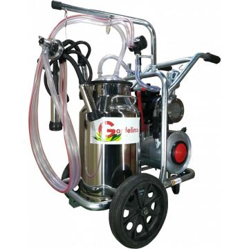 Aparat de muls Vaci Gardelina T140 IN IC, 40L INOX, 1 post, 180 l/min, 10 bovine pe ora