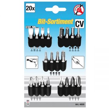 BGS  4830 - Set capete de insurubare mixte 20 bucati
