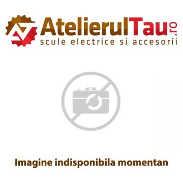 Bosch  F016L68711 - Elem. tensionare curea