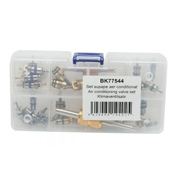 Trusa ventile, supape aer conditionat cu cheie, Cod: BK77544, Brand: BRECKNER GERMANY