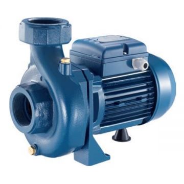 Pentax  CS 100/2 - Pompa de suprafata pentru irigatii prin inundare si picurare 740 W 6 bar 12.6 m 350 l/min carcasa fonta protectie termica monofazata