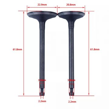 Supape motocoasa Honda GX 100