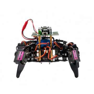 Kit de robot STEM Paianjen, Bitmi 10158