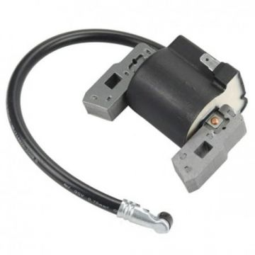 Aprindere pentru motor vertical si orizontal Briggs&Stratton, 5 CP ZF-IG-A00385 Aprindere pentru motor vertical si orizontal Briggs&Stratton, 5 CP ZF-IG-A00385