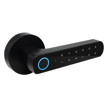 Incuietoare smart, cu amprenta, cod PIN, cheie, Bluetooth, cu baterii, compatibila cu aplicatia Tuya, SECUKEY D100-BT Incuietoare smart, cu amprenta, cod PIN, cheie, Bluetooth, cu baterii, compatibila cu aplicatia Tuya, SECUKEY D100-BT