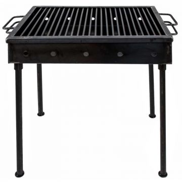 Gratar Metalic, 50 x 35 cm, pe Carbuni