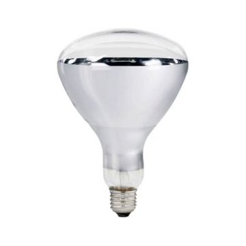 Bec cu Infrarosu, Transparent, 250 W, E27