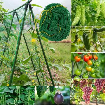 Spalier gradina, tip A, cadru otel 180 cm, plasa polietilena 1,8x3,2 m, verde