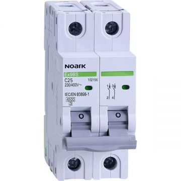 Siguranță automată, 2 poli, 32A, NOARK, gri / 110089