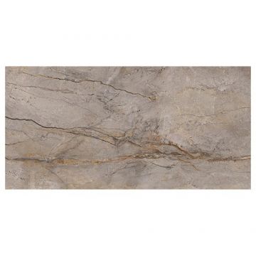 Gresie/Faianta Apavisa Wild Forest Grey - Dimensiune 60x120 cm