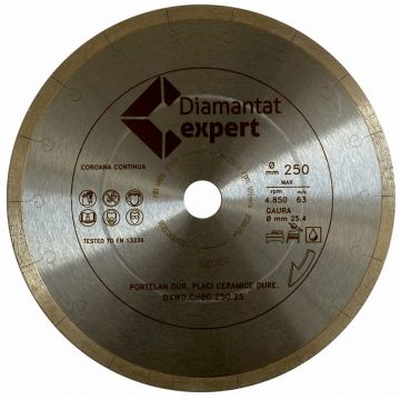 Disc DiamantatExpert pt. Portelan dur, ceramica dura - Ultra Long Life 300x25.4 (mm) Ultra Premium - DXWD.QNBG.300.25