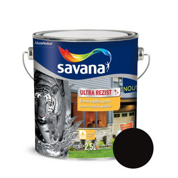 Email Savana multisuport interior/exterior,negru, 2,5 l